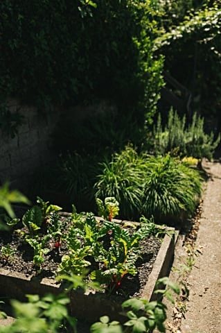 Villa Fluggi — Vegetable garden