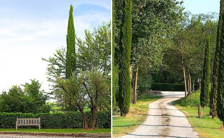 The Farmhouse — The estate