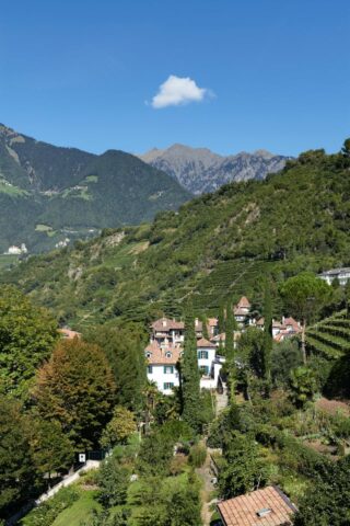 Ottmanngut — Ottmanngut