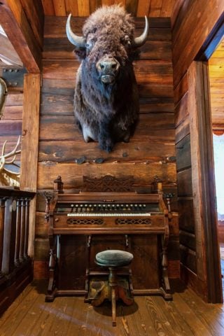 Calistoga Estate — Calistoga Estate