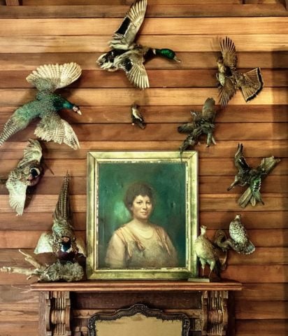 Calistoga Estate — Calistoga Estate