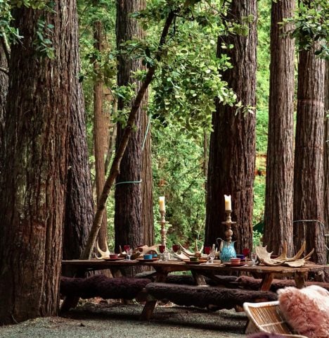 Calistoga Estate — Calistoga Estate