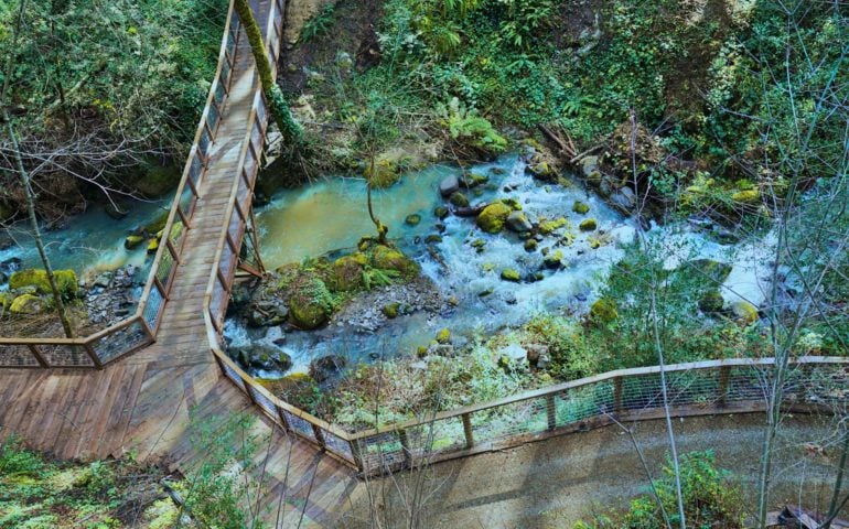 Calistoga Estate — Calistoga Estate