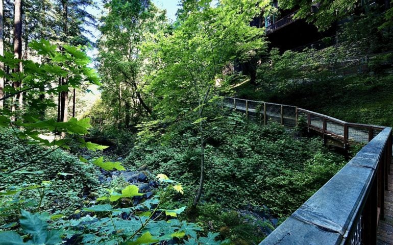 Calistoga Estate — Calistoga Estate