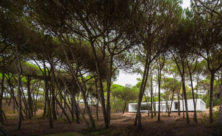 Casa Sintra — The villa