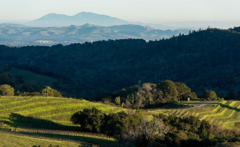 Mt Veeder Estate — Napa Valley