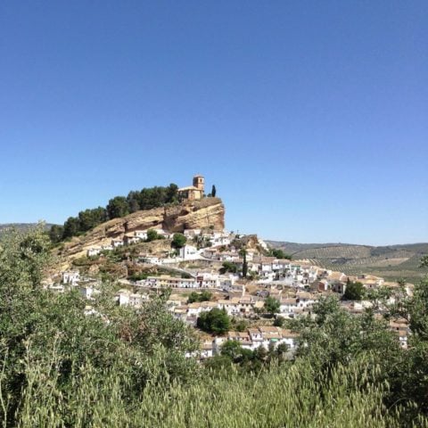 Cortijo Andalucía — Surrounding area