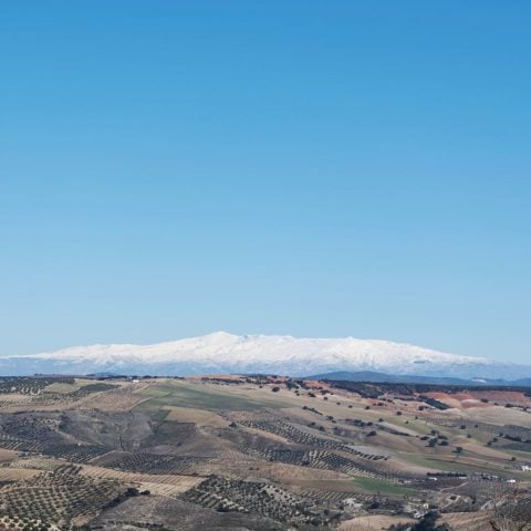 Cortijo Andalucía — Surrounding area