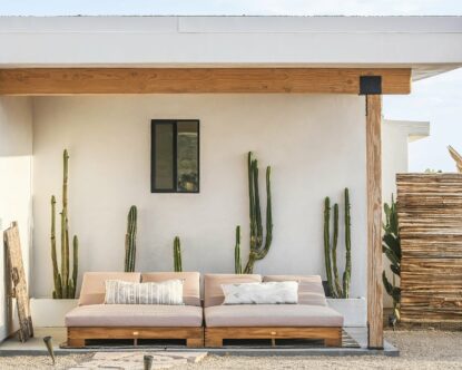 Desert Wild — Outside loungers