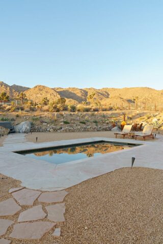 Desert Wild — Pool area