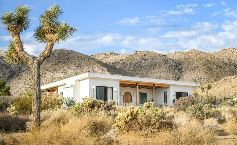 Desert Wild — Desert Wild