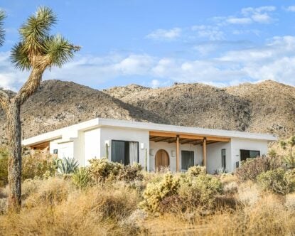 Desert Wild — Desert Wild