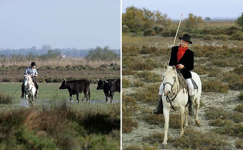 Le Mas de Peint — Camargue
