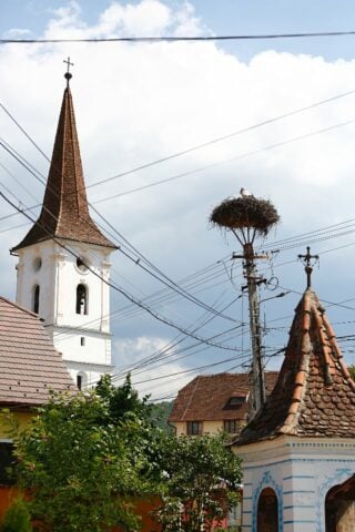 Portal Village — Sibel village