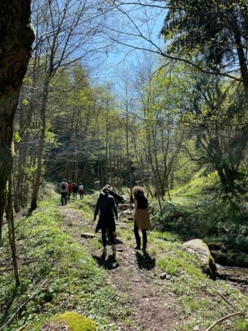 Portal Village — Forest Bathing