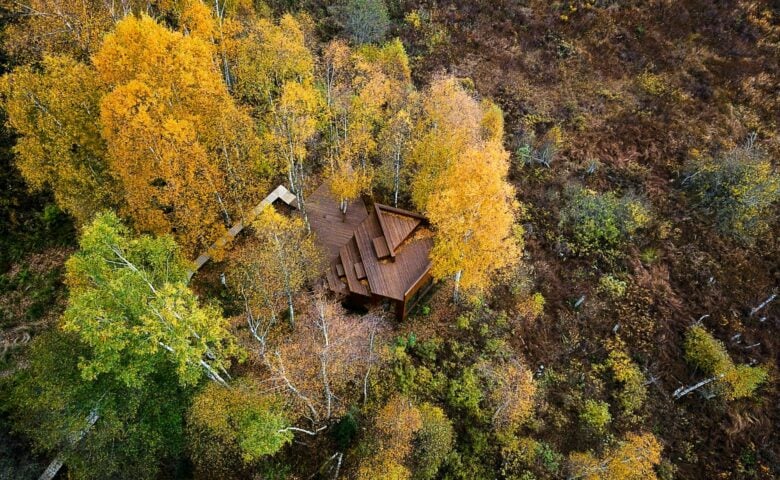 Maidla Nature Resort — Nature Villa Kaseke