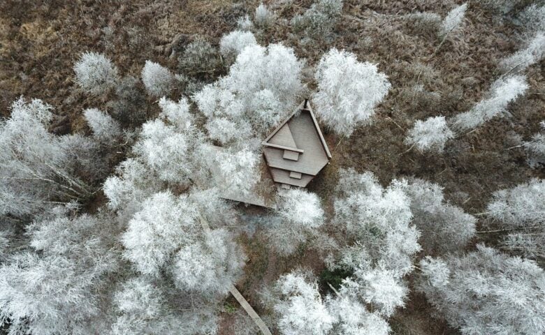 Maidla Nature Resort — Nature Villa Kaseke