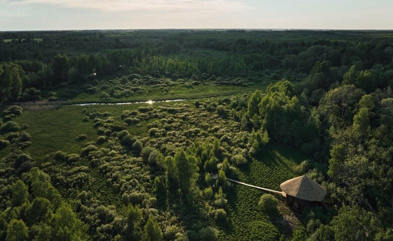 Maidla Nature Resort — Nature Villa Poku