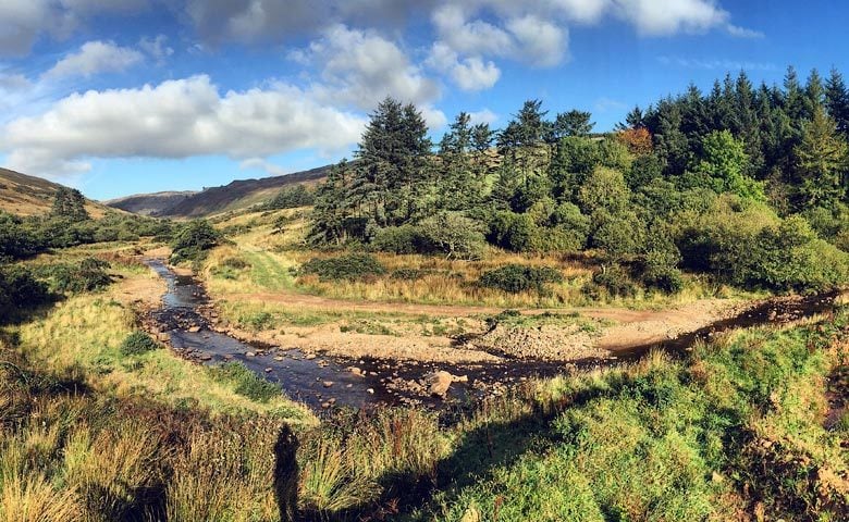 Carskiey — Strone Glen and burn