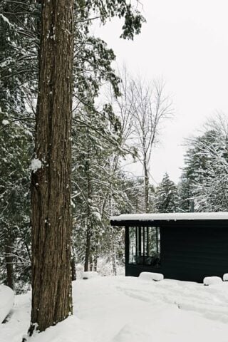 nortehaus — nortehaus in winter