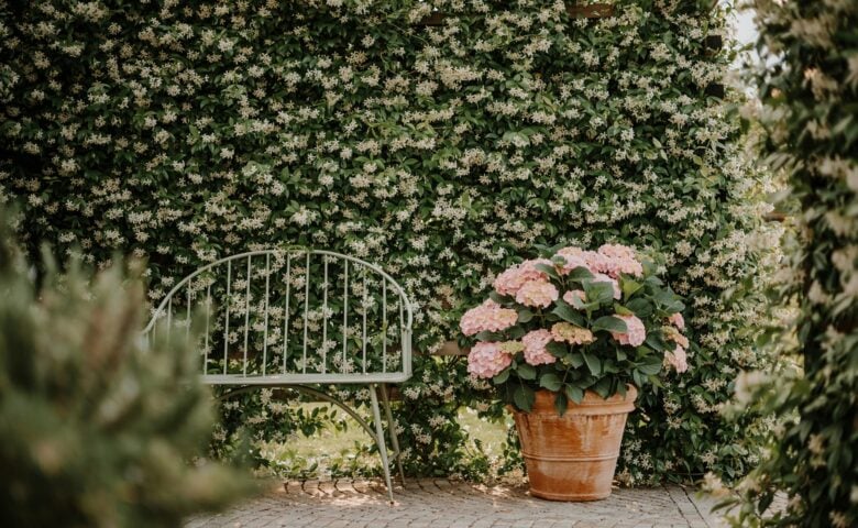 VillaVerde — Garden
