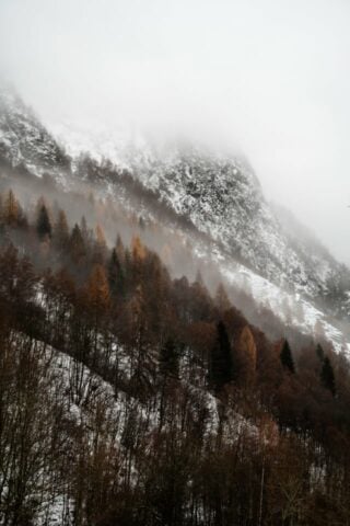 Rifugio — Landscape