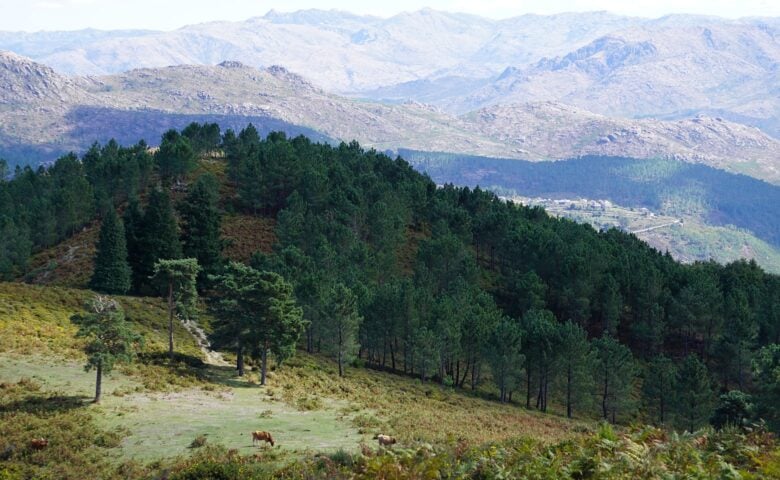 Casal Villas — Surrounding area