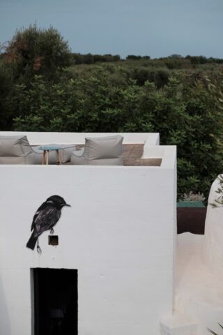 Casa Scultura — Roof terrace
