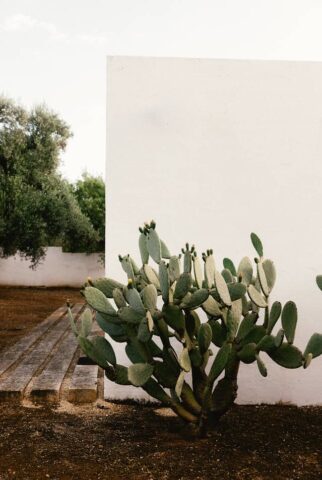 Casa Scultura — Outside
