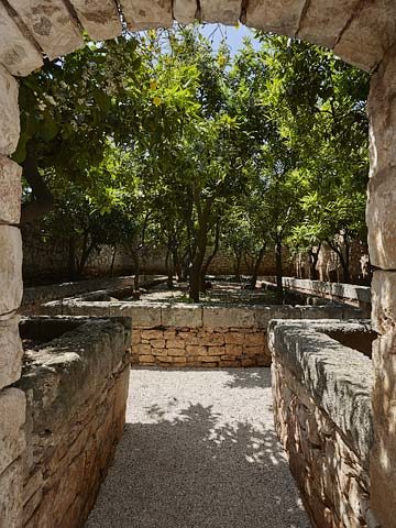 Masseria Petrarolo — Orange grove