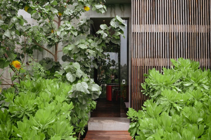 Casa Tropical — Casa Tropical