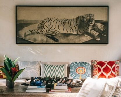 Casa Patio — Casa Patio