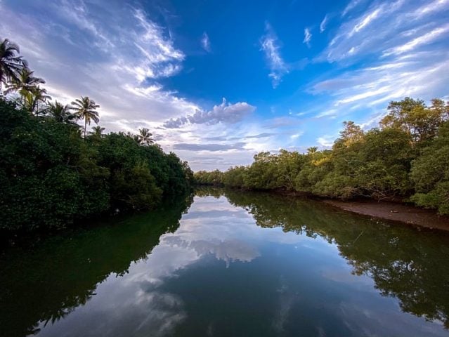 Elsewhere... — Otter creek