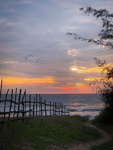 Elsewhere... — Beach