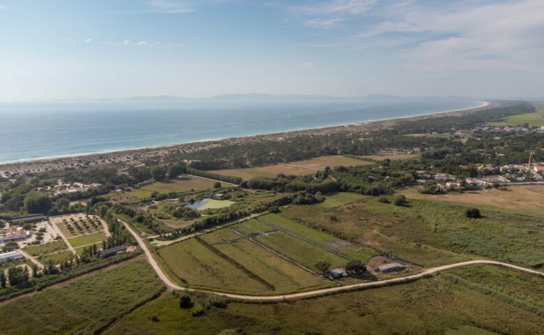 Casa Carvalhal — Comporta
