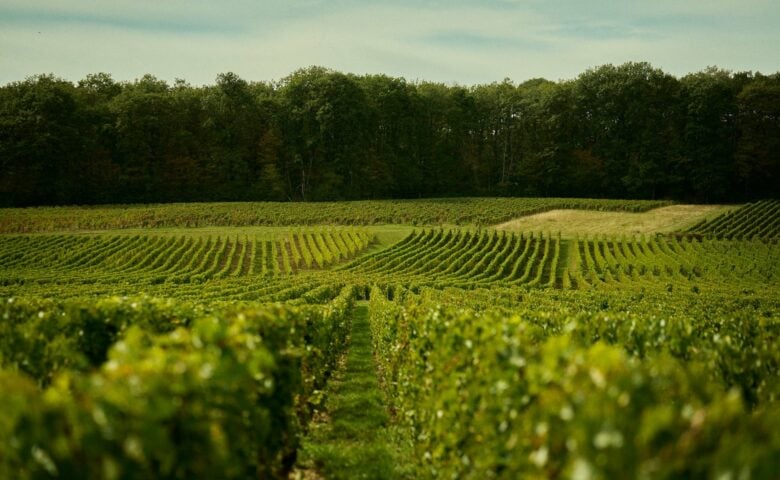 Château bord de Loire — The region