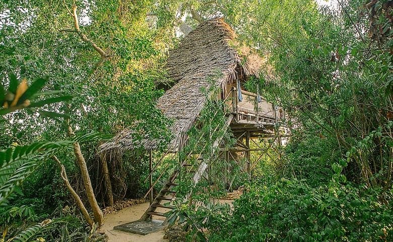 Chole Mjini — Treehouse