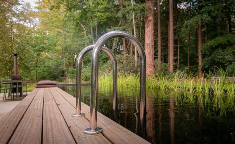 Glass House — Natural pool