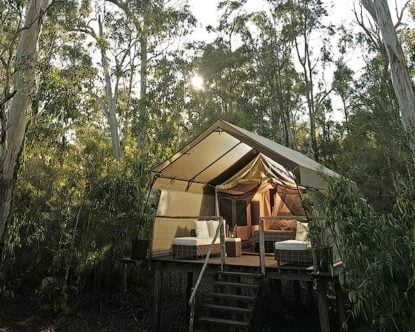 Paperbark Camp — Paperbark Camp Deluxe Safari Tent