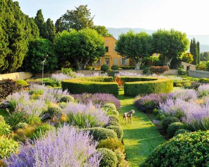 Le Pavillon de Galon — Pavillon de Galon garden