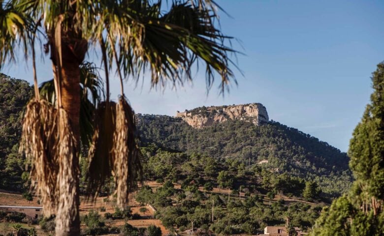 Finca Can S’Horta — Views