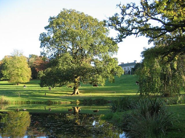 Ballyvolane House — Ballyvolane House grounds