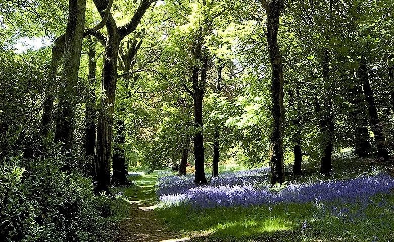 Ballyvolane House — Area