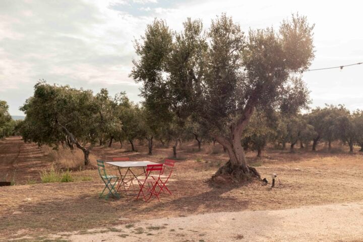 Villa Lamia — Garden