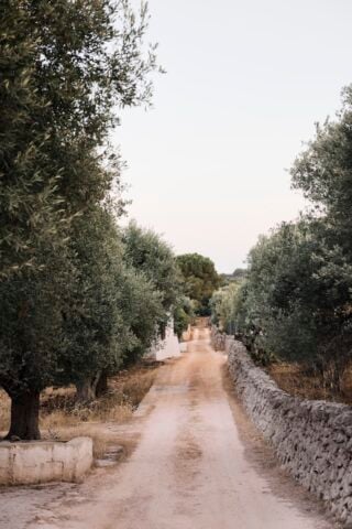 Villa Solea — Villa Solea