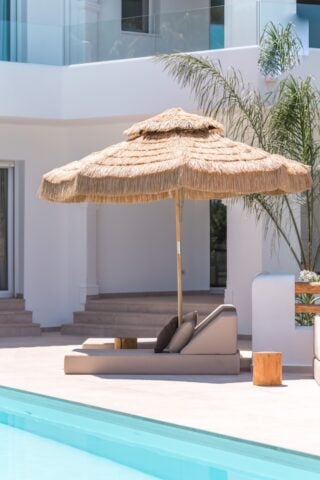 The Jave — The Jave