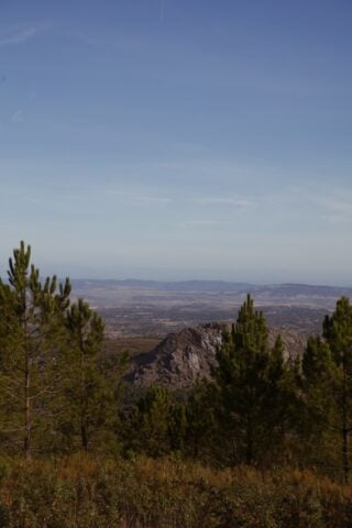 A Sociedade Rural — A Sociedade Rural