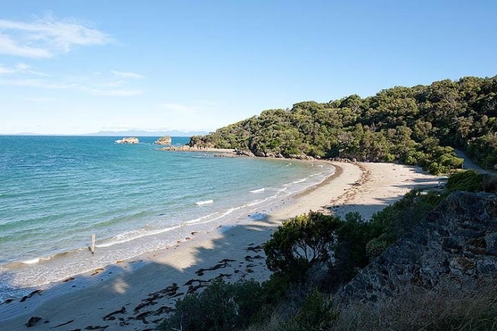 Walkerville Shack — Walkerville beach