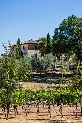 Ebbio — Vineyards at Ebbio