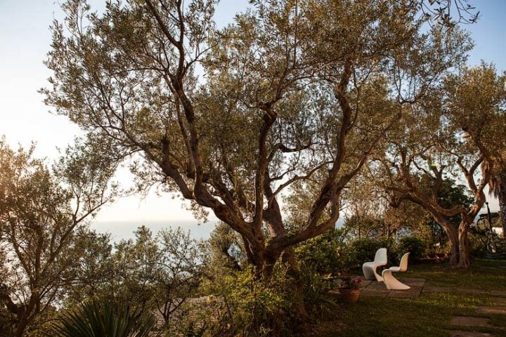 Villa Amalfi — Park around the villa